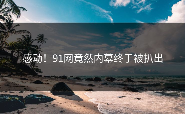 感动！91网竟然内幕终于被扒出