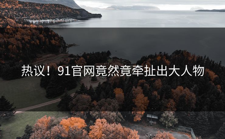 热议！91官网竟然竟牵扯出大人物