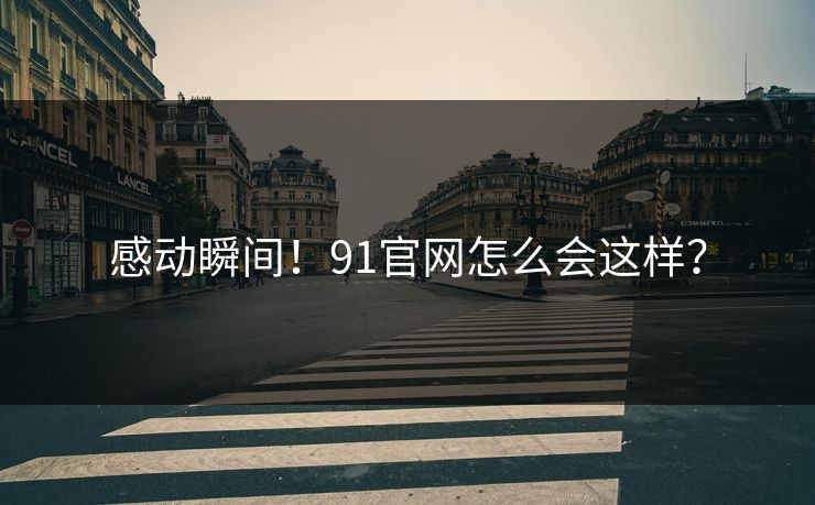 感动瞬间！91官网怎么会这样？