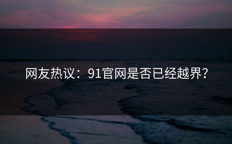 网友热议：91官网是否已经越界？