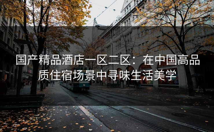 国产精品酒店一区二区：在中国高品质住宿场景中寻味生活美学