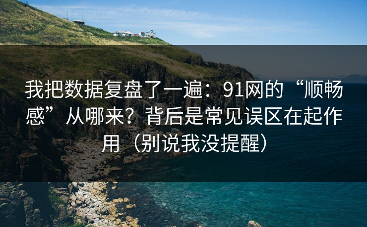 我把数据复盘了一遍:91网的“顺畅感”从哪来?背后是常见误区在起作用(别说我没提醒)